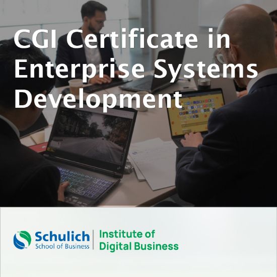 Picture of CGI Certificate in Enterprise Systems Development
